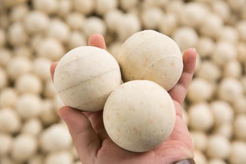 <a href='http://suzhanjd.cn/ml/71.html' target='_blank'><u>高鋁蓄熱球生產(chǎn)廠家</u></a>