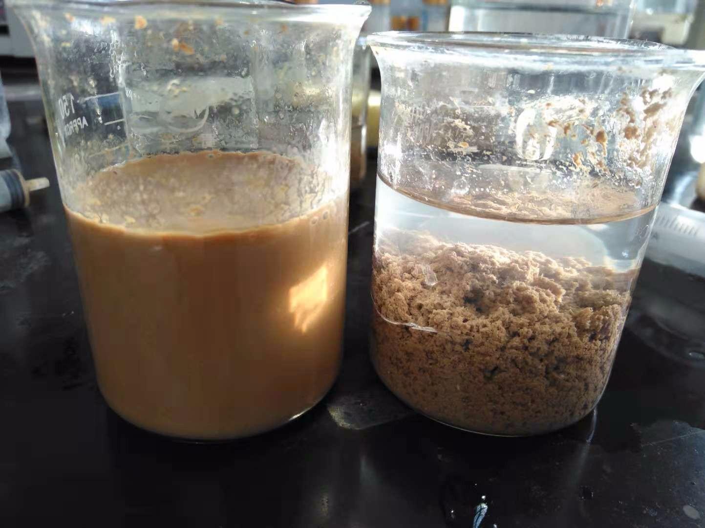 <a href='http://suzhanjd.cn/jsyj/992.html' target='_blank'><u>非離子聚丙烯酰胺生產(chǎn)廠家</u></a>