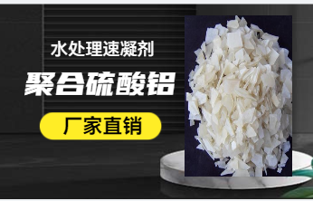 �̑B(t��i)�ۺ������X